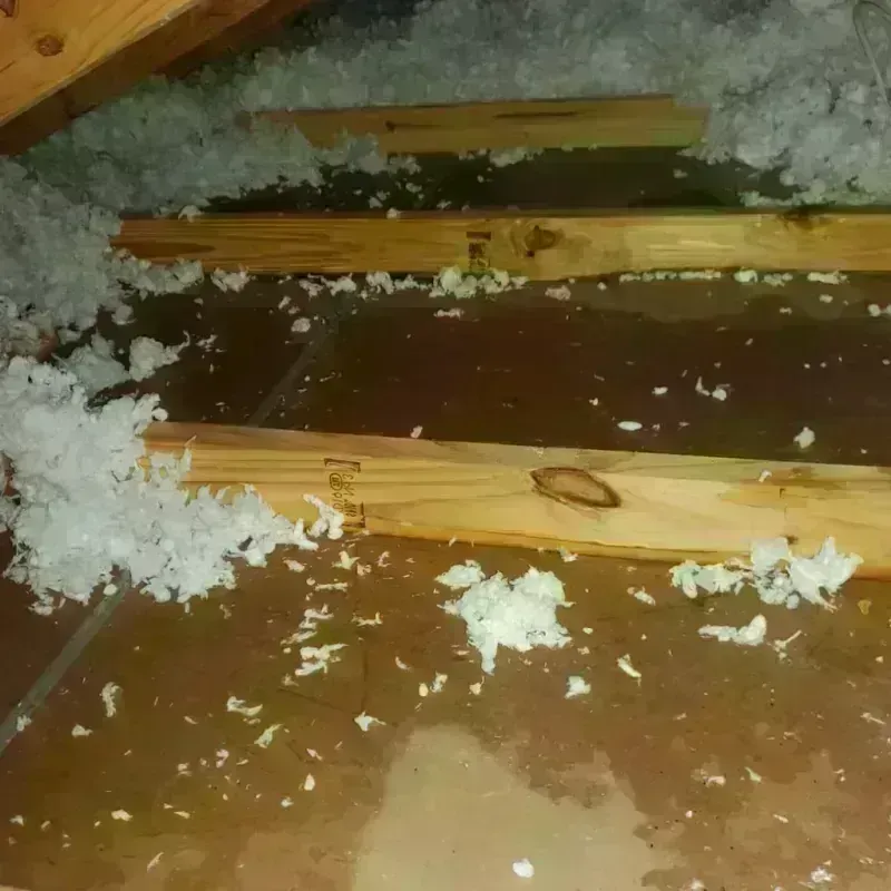 Attic Water Damage in Tulalip, WA