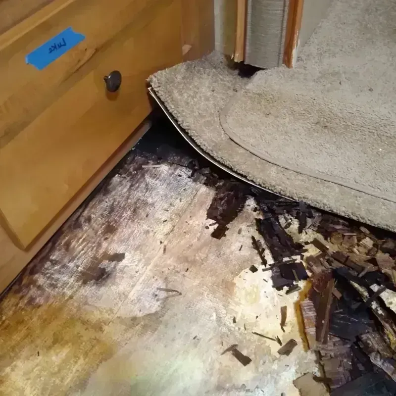 Wood Floor Water Damage in Tulalip, WA